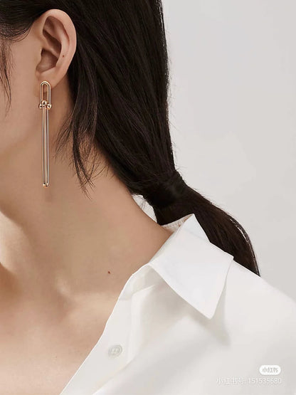 [JeweliWhal]HARDWEAR DOUBLE LONG LINK EARRINGS