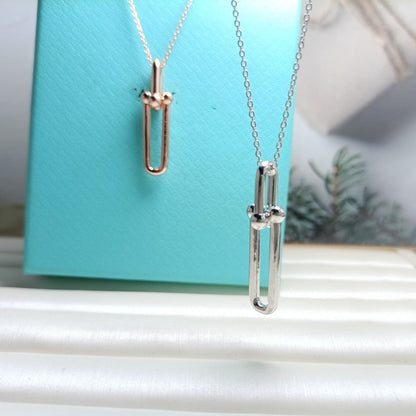 [JeweliWhal]HARDWEAR DROP DOUBLE LINK PEDANT NECKLACE