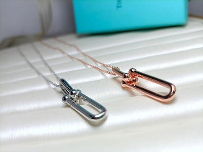 [JeweliWhal]HARDWEAR DROP DOUBLE LINK PEDANT NECKLACE