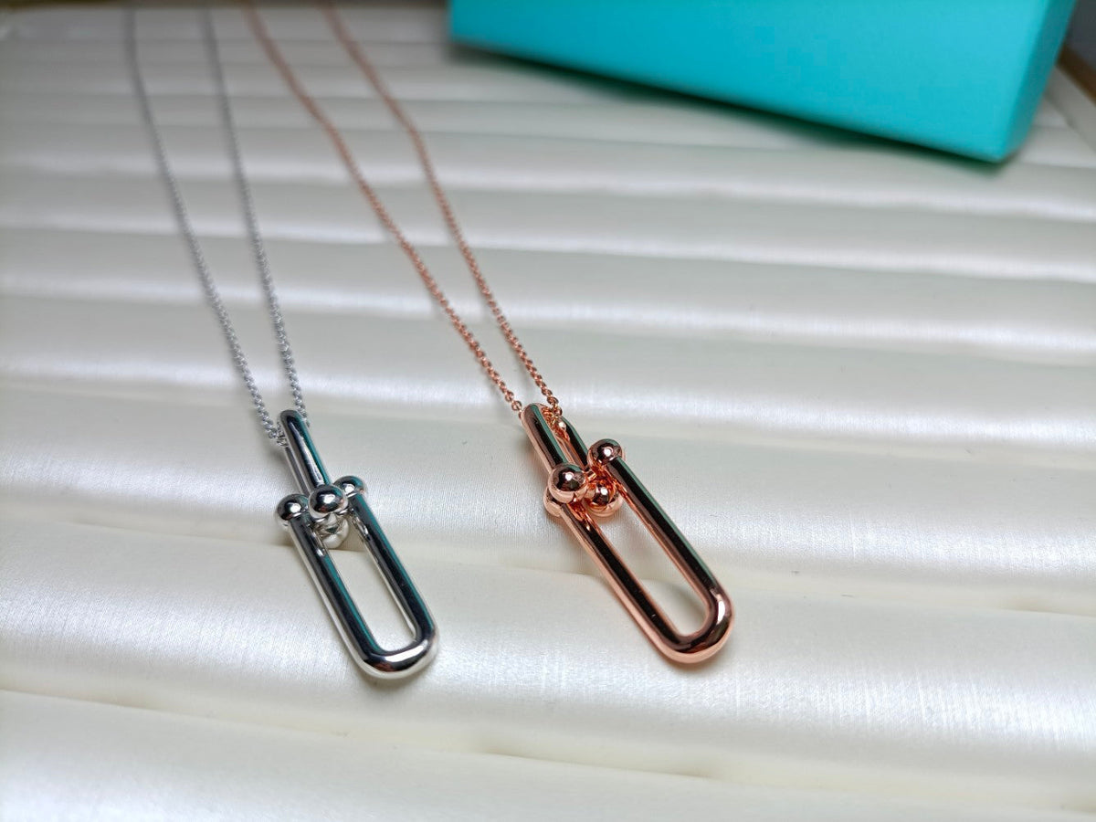 [JeweliWhal]HARDWEAR DROP DOUBLE LINK PEDANT NECKLACE