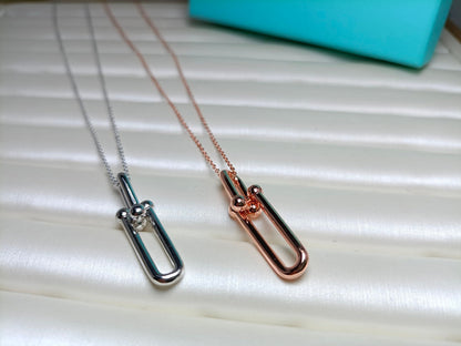 [JeweliWhal]HARDWEAR DROP DOUBLE LINK PEDANT NECKLACE