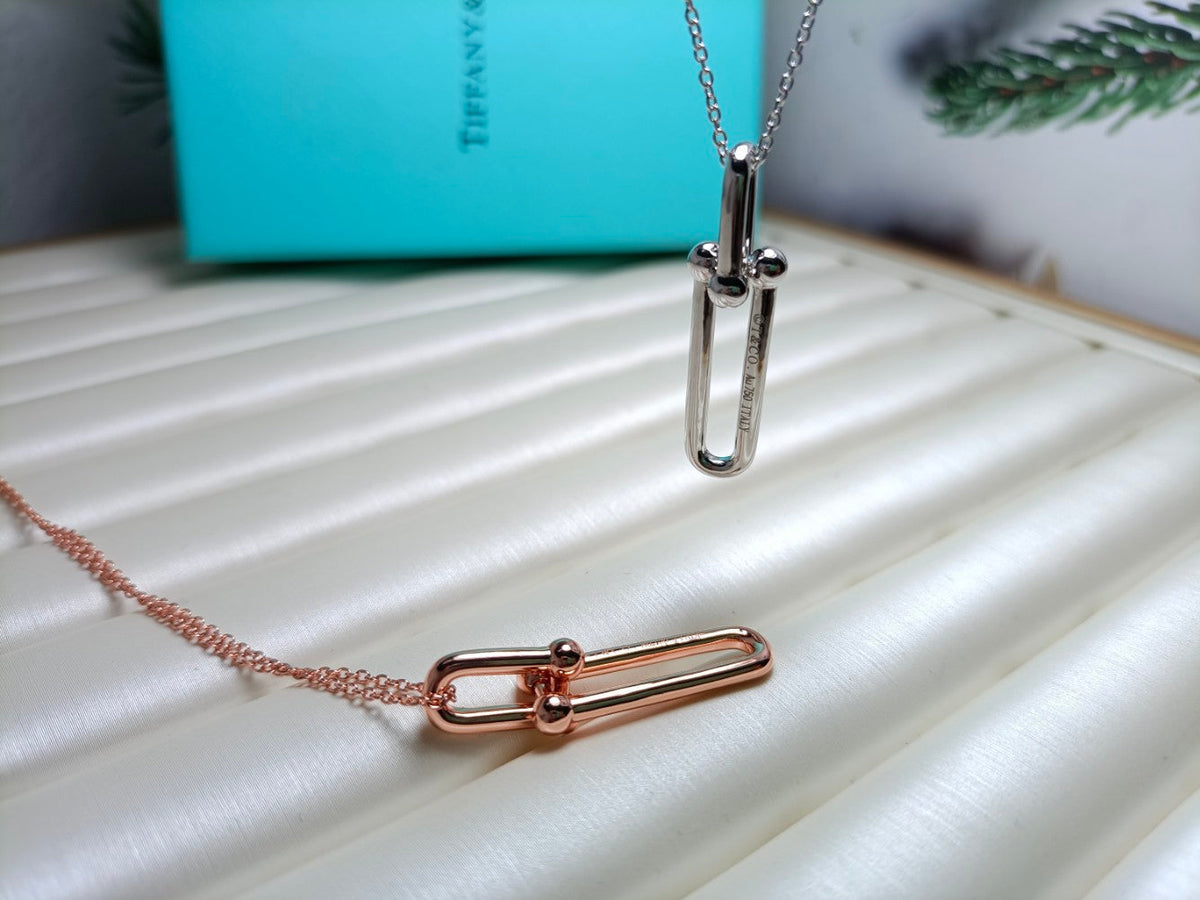 [JeweliWhal]HARDWEAR DROP DOUBLE LINK PEDANT NECKLACE