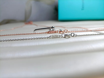 [JeweliWhal]HARDWEAR DROP DOUBLE LINK PEDANT NECKLACE