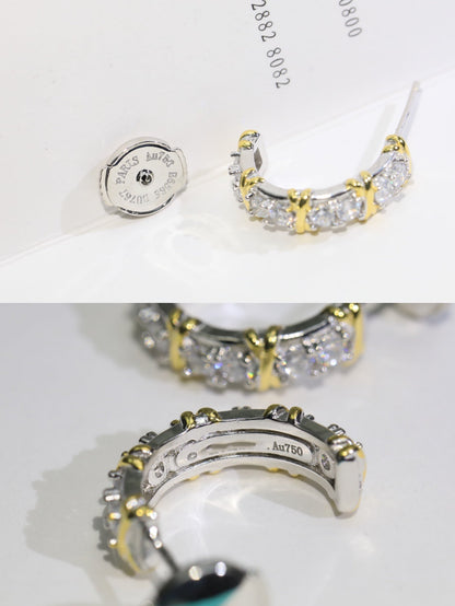 [JeweliWhal]TWENTY STONE HOOP GOLD EARRINGS