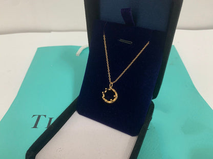 [JeweliWhal]CROWN NECKLACE MECARI