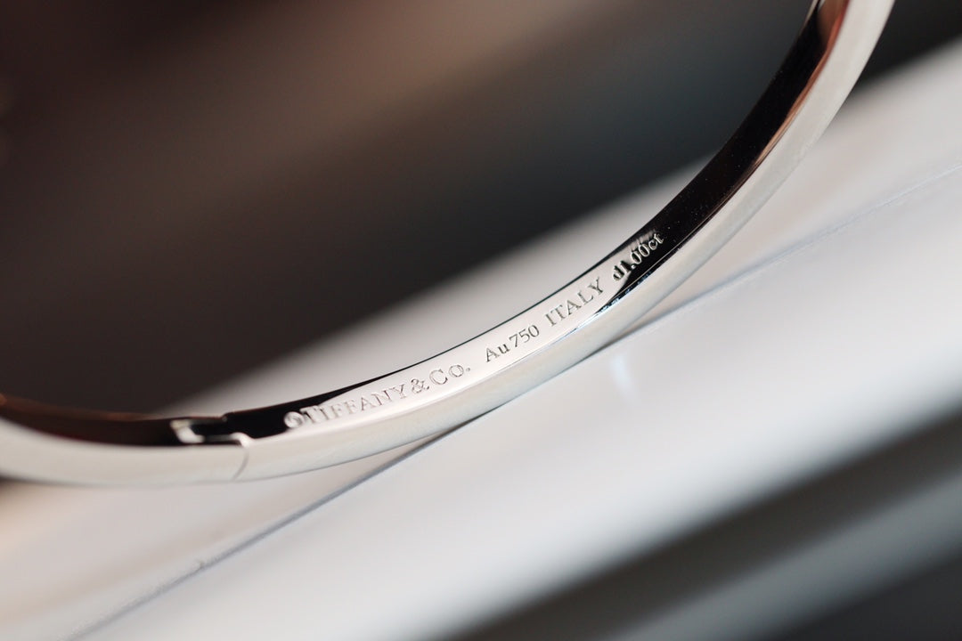 [JeweliWhal]NARROW T1 HINGED BANGLE DIAMOND SILVER