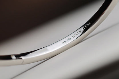 [JeweliWhal]NARROW T1 HINGED BANGLE DIAMOND SILVER