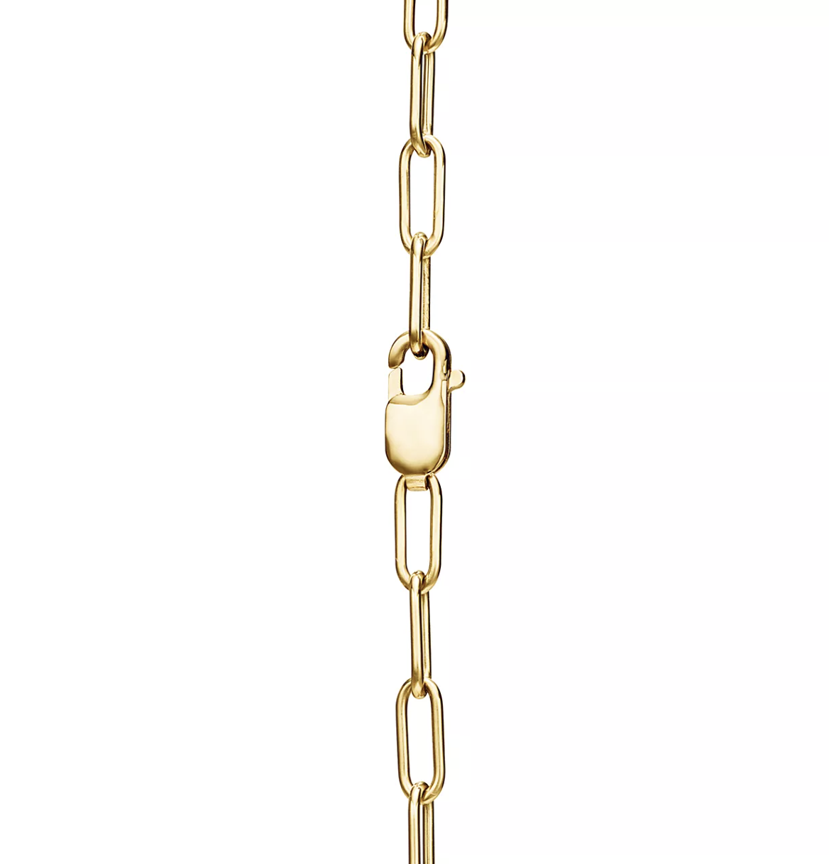 [JeweliWhal]LOCK NECKLACE GOLD