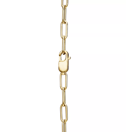 [JeweliWhal]LOCK NECKLACE GOLD