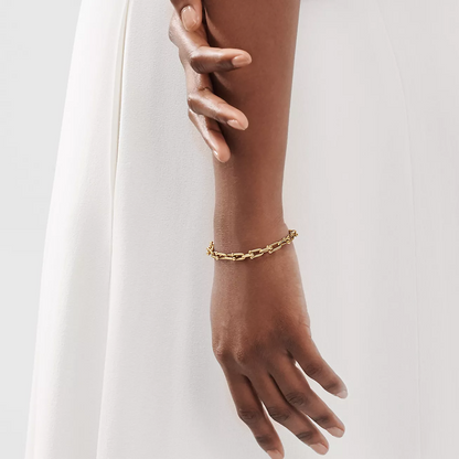[JeweliWhal]HARDWEAR SMALL LINK 26 MOTIF GOLD BRACELET