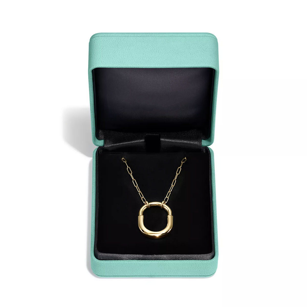 [JeweliWhal]LOCK NECKLACE GOLD