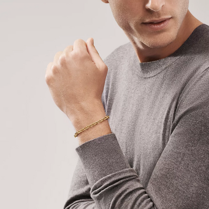 [JeweliWhal]HARDWEAR SMALL LINK 26 MOTIF GOLD BRACELET