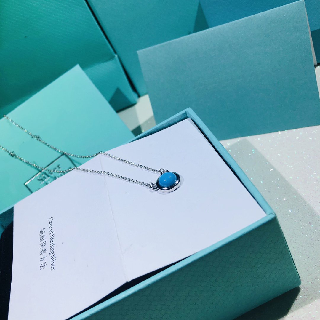 [JeweliWhal]YARD TURQUOISE NECKLACE SILVER
